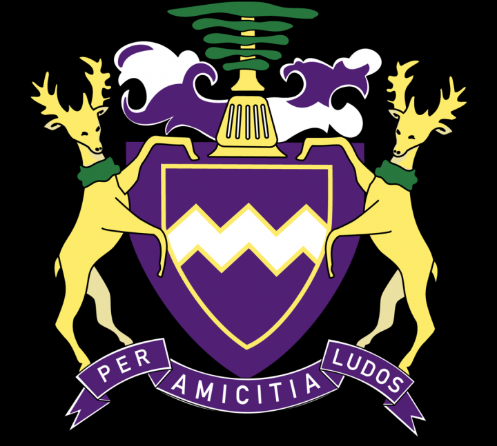 We are hiring a Director of Cricket