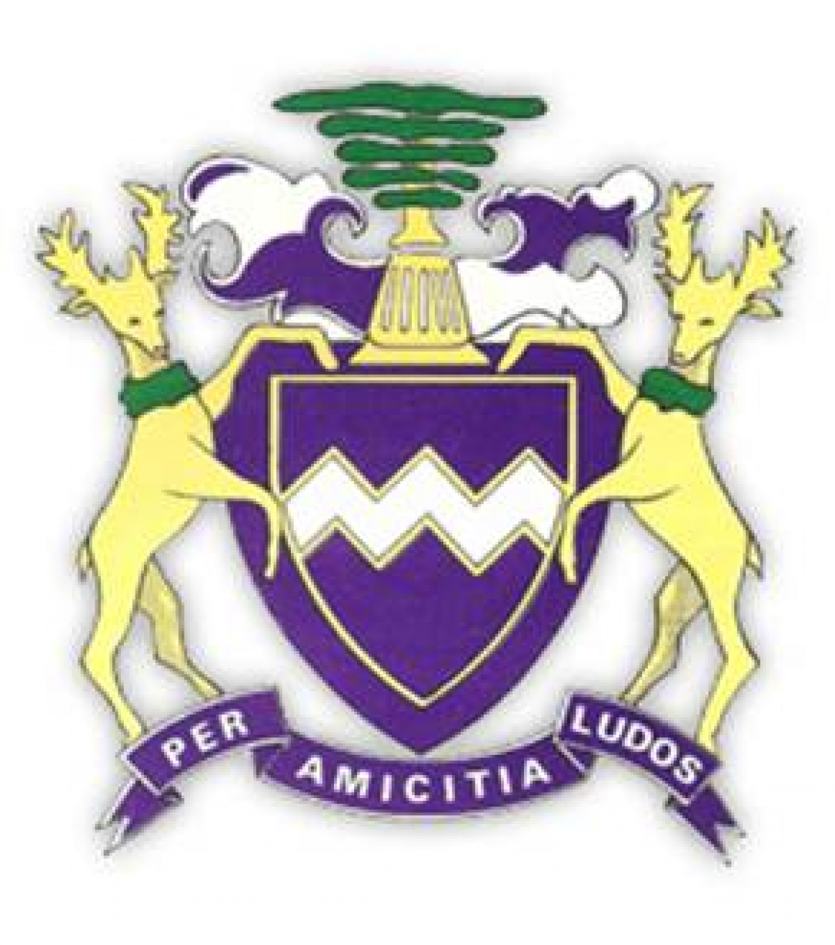 Winchmore Hill Sports Club AGM - Sunday 14th Nov 