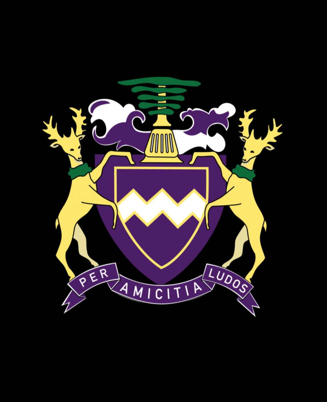 We are hiring a Director of Cricket 