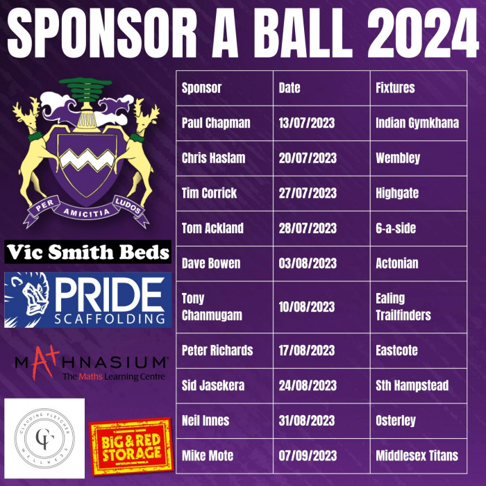 Sponsor a ball 24 2 v2