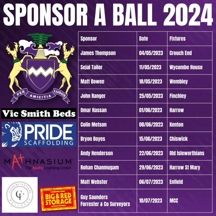 Sponsor a ball 24 v1 2